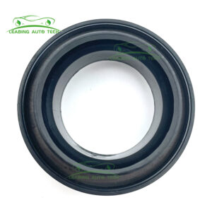 C00033960 Oil Seal for Saic Maxus T60